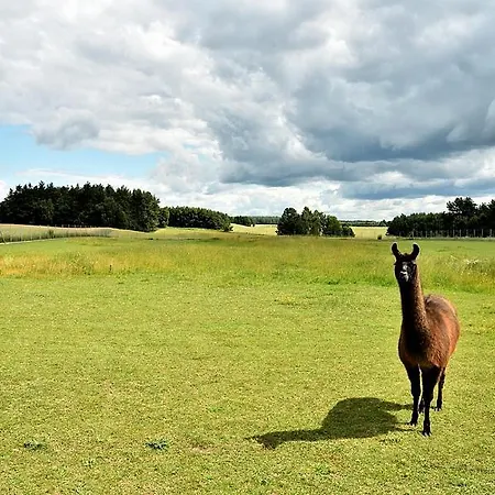 Stara Szkola Villa Browina